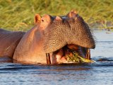 KENIA TANZANIA Z WYPOCZYNKIEM NA ZANZIBARZE 16 DNI #16