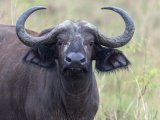 KENIA TANZANIA Z WYPOCZYNKIEM NA ZANZIBARZE 16 DNI #10