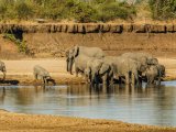 KENIA TANZANIA Z WYPOCZYNKIEM NA ZANZIBARZE 16 DNI #8