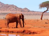 KENIA TANZANIA Z WYPOCZYNKIEM NA ZANZIBARZE 16 DNI #22