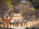 KENIA TANZANIA Z WYPOCZYNKIEM NA ZANZIBARZE 16 DNI #24