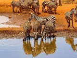 KENIA TANZANIA Z WYPOCZYNKIEM NA ZANZIBARZE 16 DNI #15