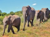 KENIA TANZANIA Z WYPOCZYNKIEM NA ZANZIBARZE 16 DNI #5
