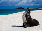 REJS PO WYSPACH GALAPAGOS 4/8 dni #3