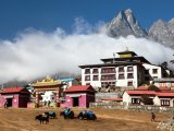 Klasztor Tengboche, region Everest #8