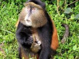 UGANDA RWANDA 14 DNI #25