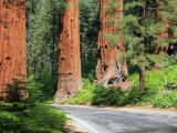 USA Kalifornia i Hawaje 16 dni #13