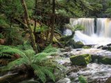Mt Field National Park w Tasmanii #9