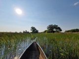 BOTSWANA ZIMBABWE ZAMBIA |13 dni z EXPLORE 360° #12