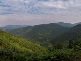 UGANDA RWANDA 14 DNI #26