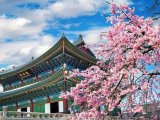 Seul wycieczka Prestige Tours #6
