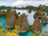 Rejs: Indonezja - Wyspy Raja Ampat | 12 dni #2