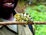 UGANDA RWANDA 14 DNI #13