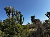 ERYTREA 8 DNI z EXPLORE 360° #3