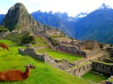 Machu Picchu #1
