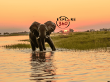 GABON I GWINEA RÓWNIKOWA 12 dni z EXPLORE 360° #1