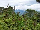 UGANDA RWANDA 14 DNI #19