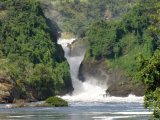 Murchison Falls #7