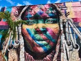Murale, Rio #5