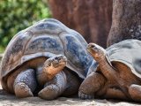 REJS PO WYSPACH GALAPAGOS 4/8 dni #1