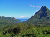 Moorea #4