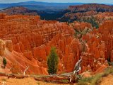 USA parki narodowe – Bryce Canyon #6