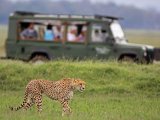 KENIA TANZANIA Z WYPOCZYNKIEM NA ZANZIBARZE 16 DNI #1