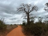 wyprawy egzotyczne z Prestige Tours  wycieczka Angola #8
