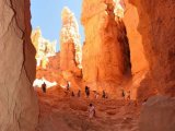 USA parki narodowe – Bryce Canyon #7