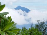 UGANDA RWANDA 14 DNI #18