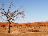 NAMIBIA z Kanionem Fish River i plemieniem Himba 15 DNI #1