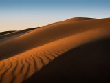 wydmy Sahary #2