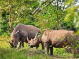 UGANDA RWANDA 14 DNI #15