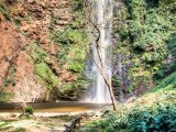 Wli Waterfalls #10