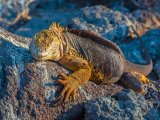 REJS PO WYSPACH GALAPAGOS 4/8 dni #6
