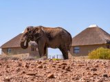 Namibia 15 DNI #41
