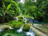 Vanuatu wycieczka egzotyczna #3