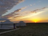 Tradycyjne mongolskie jurty na stepie o zachodzie słońca, symbol spokoju i życia koczowniczego w Mongolii #6