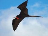 REJS PO WYSPACH GALAPAGOS 4/8 dni #9
