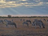 BOTSWANA ZIMBABWE ZAMBIA |13 dni z EXPLORE 360° #6