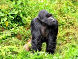 UGANDA RWANDA 14 DNI #10