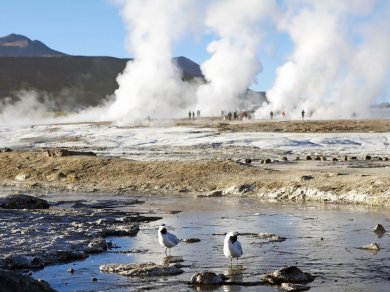 GEJZERY TATIO (WYCIECZKA DO CHILE)