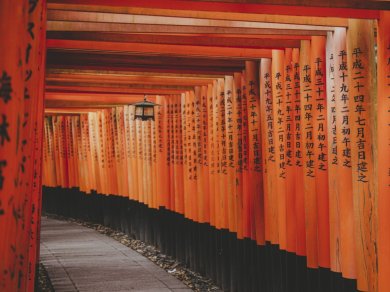 Wycieczka Japonia - Kioto