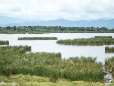 jezioro Chamo