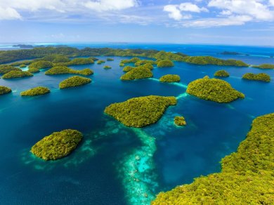 Palau wycieczka z Prestige Tours