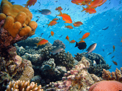 wycieczka do Australii z Prestige Tours