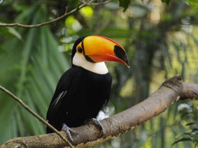 wodospady Iguazu  - wycieczka Prestige Tours