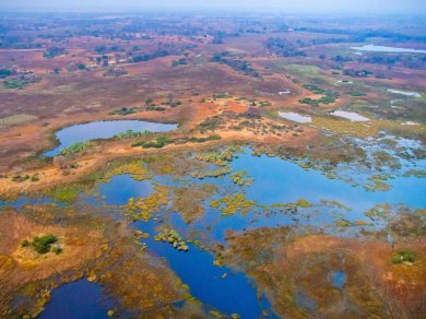 Delta Okawango