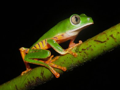 Amazonia wycieczka z Prestige Tours