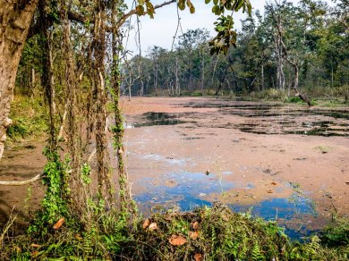 Park Narodowy CHITWAN zwiedzanie z Prestige Tours